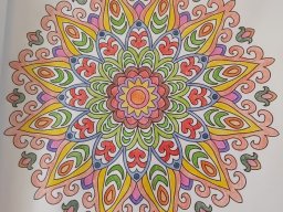 whatsapp bild 2023-07-14 um 11.59.15